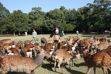 時(shí)代美容美發(fā)化妝學(xué)校課外生活